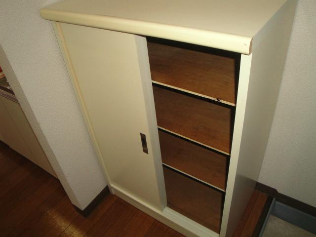 Other room space. Oversized shoe box