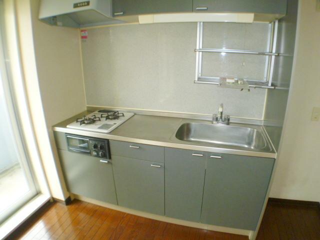 Kitchen. Two-neck system kitchen with grill.