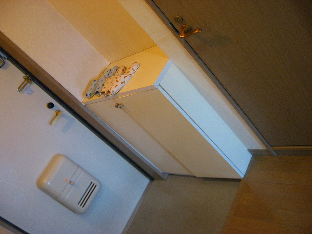 Other. There is also firmly shoes BOX at the door. 