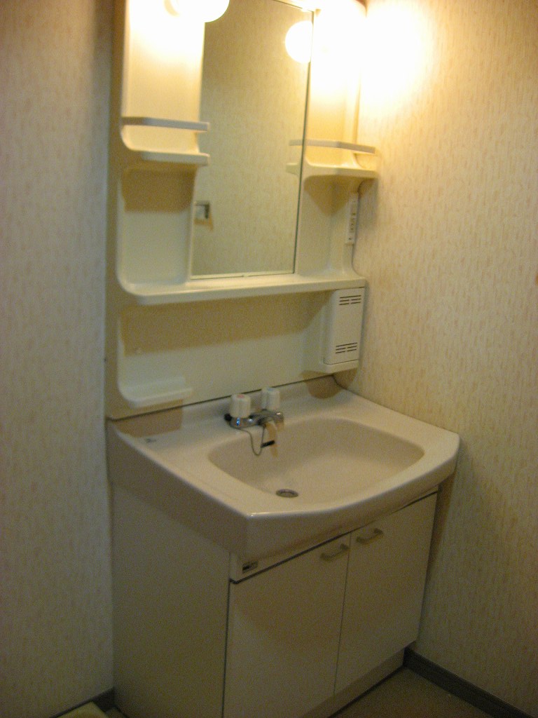 Other. There is also a separate wash basin. 