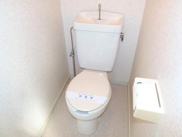 Toilet. Western-style toilet