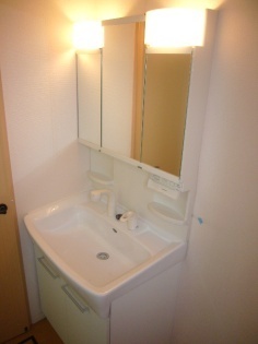 Washroom. Independent wash basin with a shampoo dresser