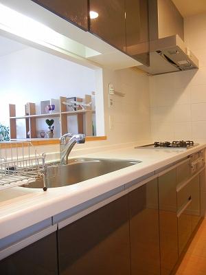 Kitchen. With disposer