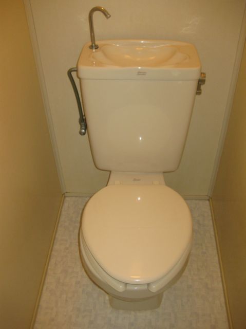 Toilet. Western-style toilet.