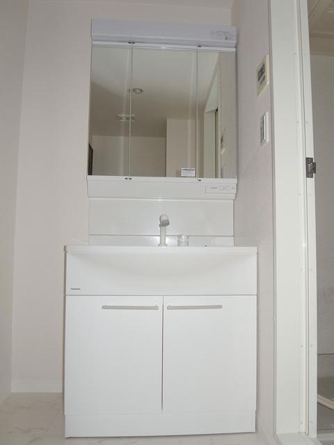 Wash basin, toilet. Vanity shower