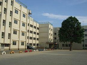 Primary school. It reached the 300m 120th anniversary to Funabashi City Tsukada Elementary School, The historic elementary school stands is ginkgo big tree of the symbol tree