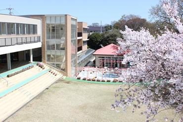 kindergarten ・ Nursery. There until the third garden and acorn mountain in 510m park to the school corporation Seiwa kindergarten, Capacity 400 people of Mammoth kindergarten