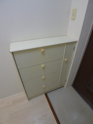 Other common areas. Cupboard