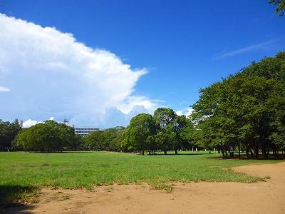park. Gyoda park 650m to