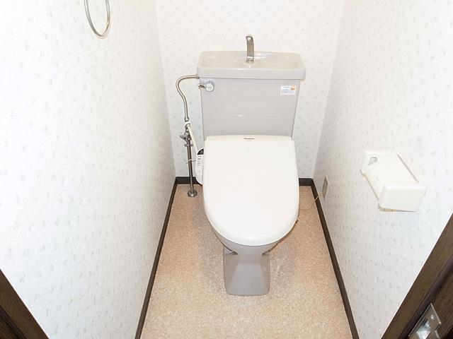 Toilet. Washlet with function