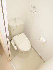 Toilet. Clean toilet