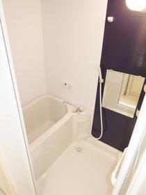 Bath. Beautiful bathroom