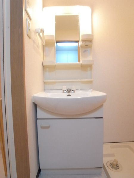 Washroom. Convenient and happy independence washbasin