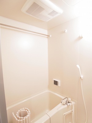 Bath. With bathroom dryer