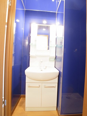 Washroom. Separate vanity