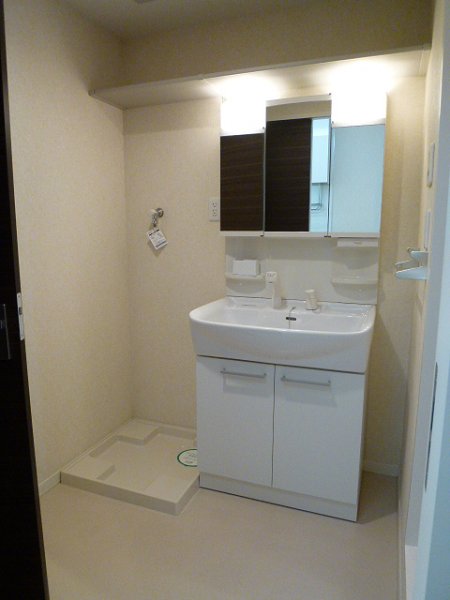 Washroom. With shampoo dresser. There is also a washing machine inside the yard.