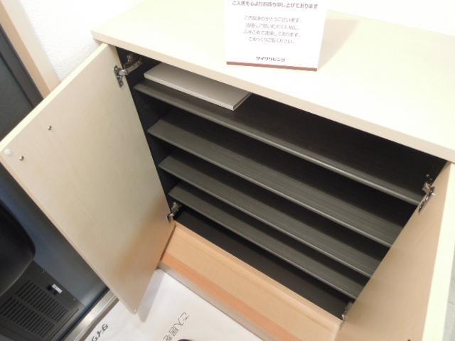 Entrance. The entrance, With shoes BOX, Full storage