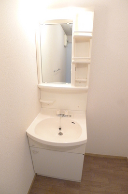 Washroom. Bathroom vanity