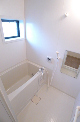 Bath. Add-fired function with bus