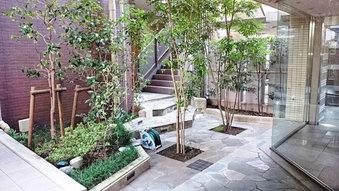 Entrance. Common areas