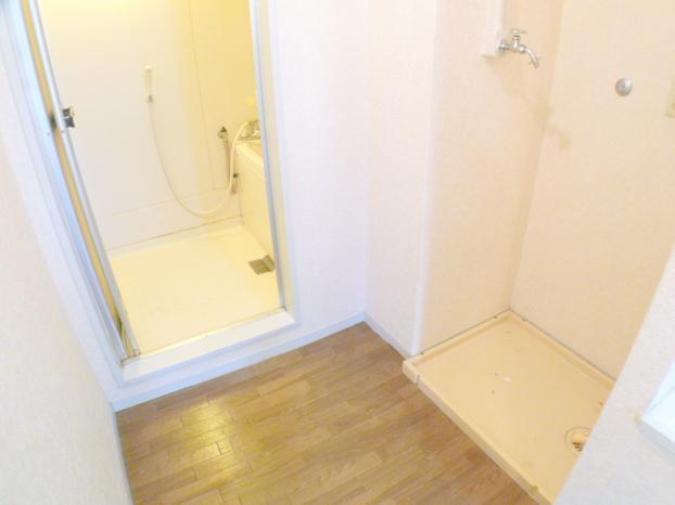 Other room space. Large washing machine is also a space of likely enter room