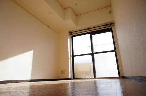 Living and room. Sunny