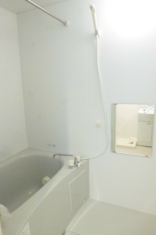 Bath. With bathroom ventilation dryer