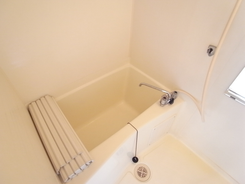 Bath. It is simple and a clean bathroom