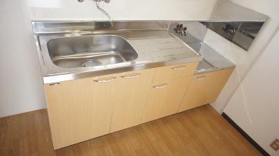 Kitchen. Is a handy gas stove installation Allowed!