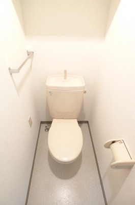 Toilet. Toilet