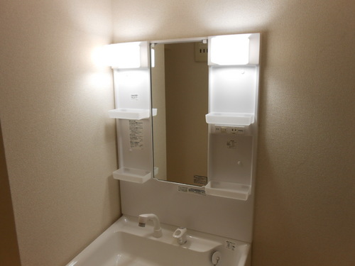 Washroom. Bathroom vanity