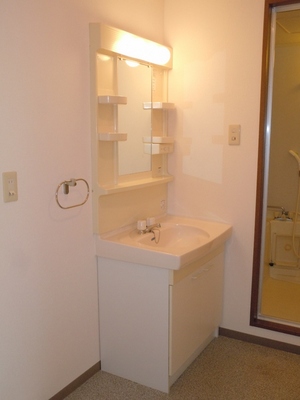 Washroom. Women also happy independence washstand!