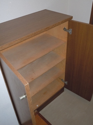 Entrance. There is space put the keys and accessories on top of the shoe box!