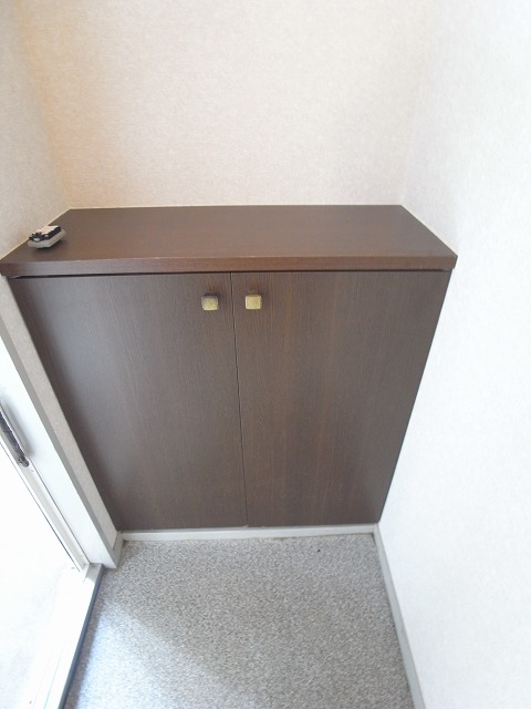 Entrance. There are also shoes BOX.