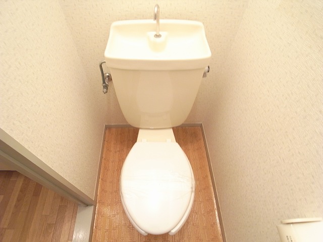 Toilet. Toilets are always clean.