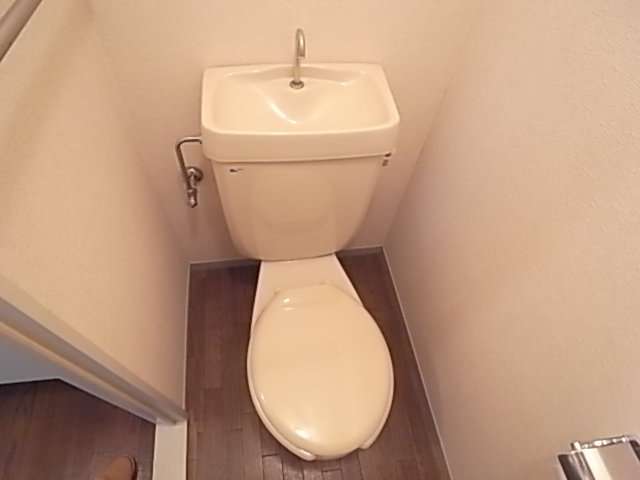 Toilet. Toilets are always clean