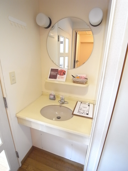 Washroom. Convenient and happy independence washbasin