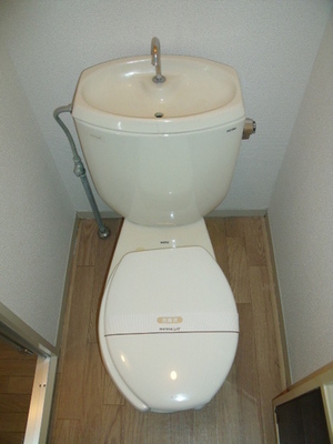 Toilet. Toilet