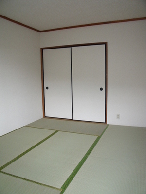 Living and room. A bright room