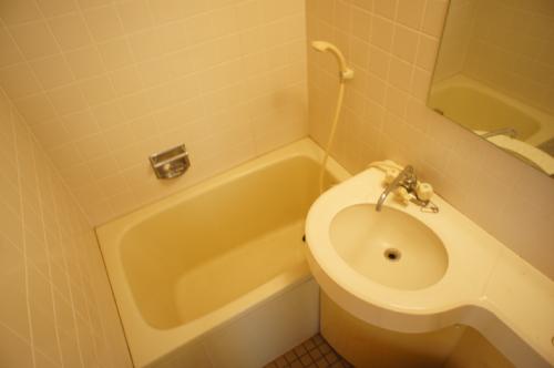 Bath. Stylish unit bus.