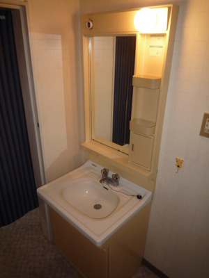 Washroom. Mandatory independent wash basin to the woman!