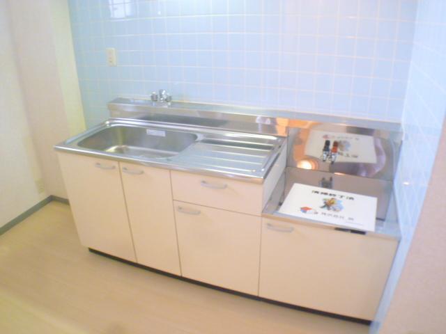 Kitchen. Shiny kitchen