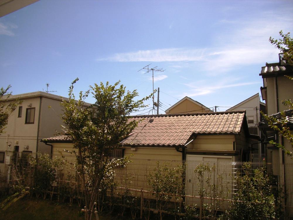 Other. View (1)