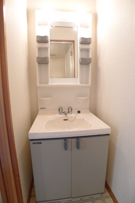 Washroom. Wash basin