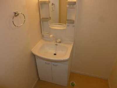 Washroom. Shampoo dresser