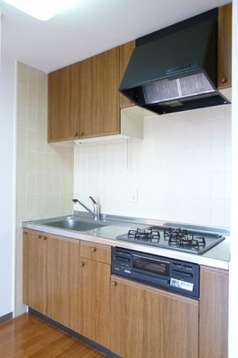 Kitchen. System kitchen