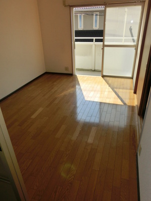 Living and room. Sunny room.