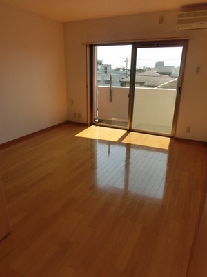 Living and room. Bright living.