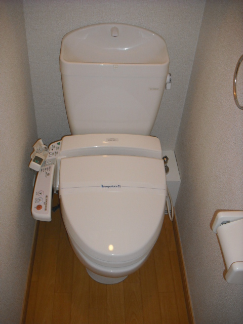 Toilet. Warm water washing toilet seat