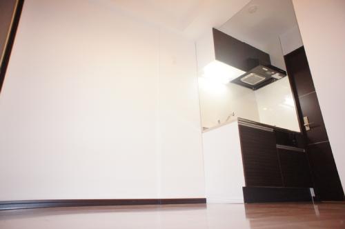 Living and room. Kitchen space